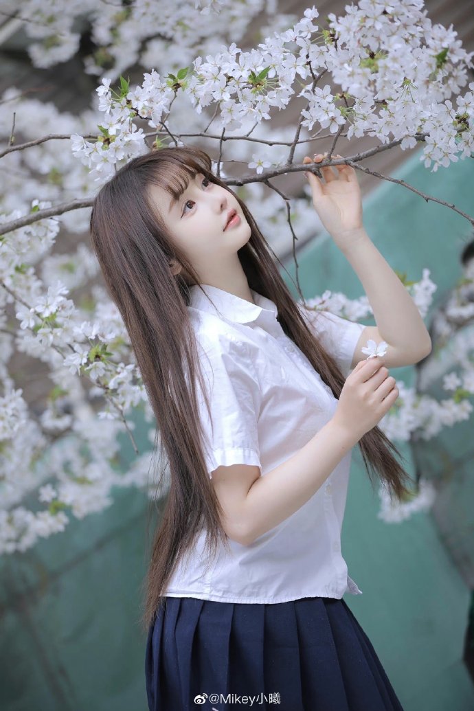 大明王朝1566 封面